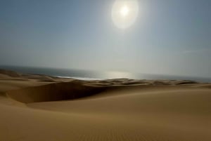 Walvisbay: Sandwich Harbour 4x4 Tour-Unparalleled Experience