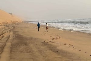 Walvisbay: Sandwich Harbour 4x4 Tour-Unparalleled Experience