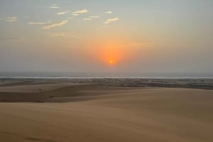 Walvisbay: Sandwich Harbour 4x4 Tour-Unparalleled Experience