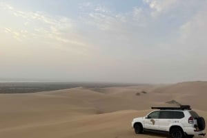 Walvisbay: Sandwich Harbour 4x4 Tour-Unparalleled Experience