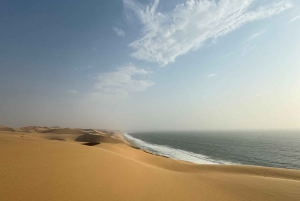 Walvisbay: Sandwich Harbour 4x4 Tour-Unparalleled Experience