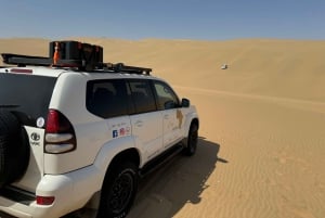 Walvisbay: Sandwich Harbour 4x4 Tour-Unparalleled Experience