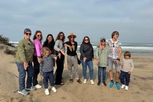 Walvisbay: Sandwich Harbour 4x4 Tour-Unparalleled Experience