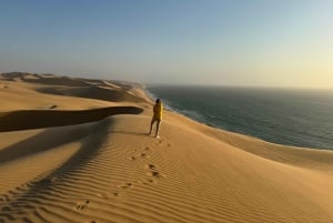 Walvisbay: Sandwich Harbour 4x4 Tour-Unparalleled Experience