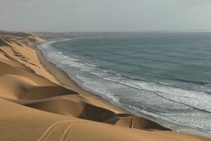 Walvisbay: Sandwich Harbour 4x4 Tour-Unparalleled Experience