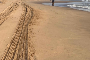 Walvisbay: Sandwich Harbour 4x4 Tour-Unparalleled Experience