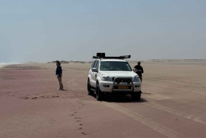 Walvisbay: Sandwich Harbour SUNSET Tour-End It Beautifully