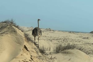 Walvisbay: Sandwich Harbour SUNSET Tour-End It Beautifully