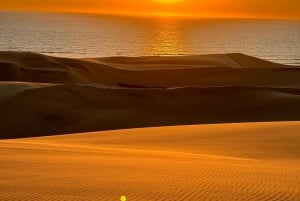 Walvisbay: Sandwich Harbour SUNSET Tour-End It Beautifully