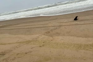 Walvisbay: Sandwich Harbour SUNSET Tour-End It Beautifully