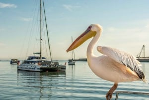 Windhoek: 10-Day Guided Tour of Namibia with Camping