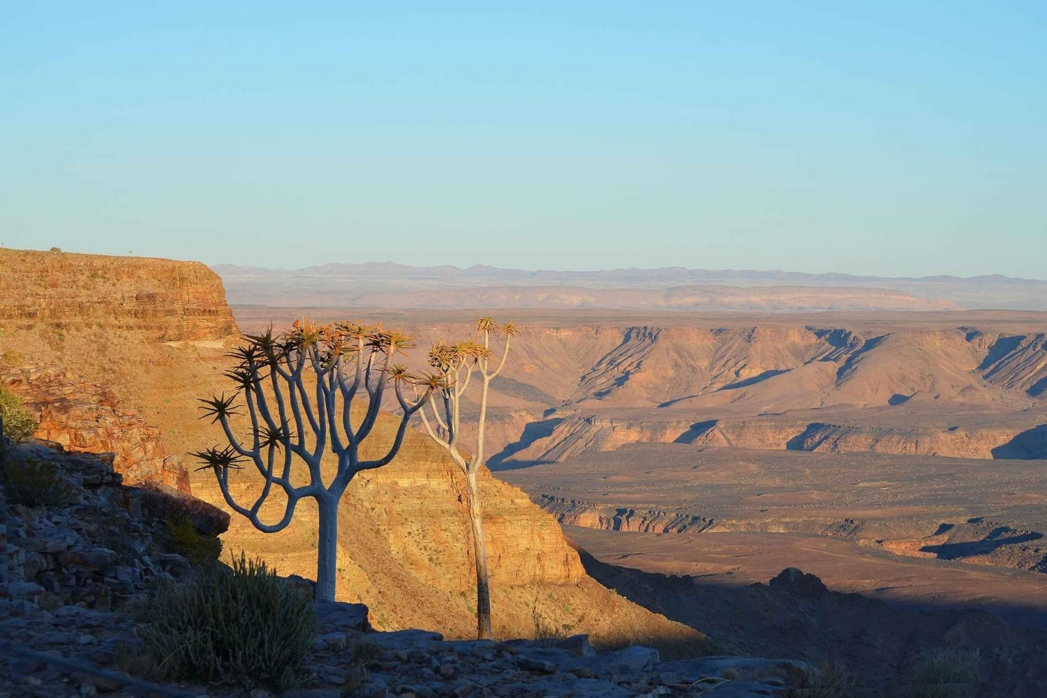 Windhoek: 3-Day Fish River Canyon & Quiver Tree Guided Tour