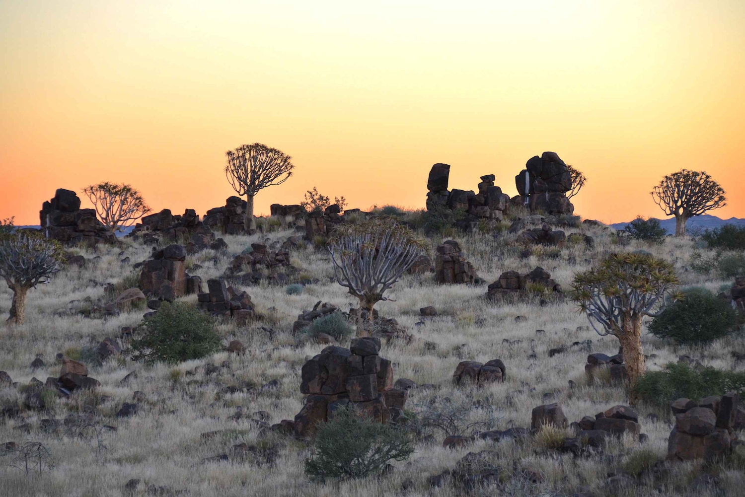 Windhoek: 3-Day Fish River Canyon & Quiver Tree Guided Tour