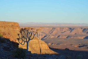 Windhoek: 3-Day Fish River Canyon & Quiver Tree Guided Tour