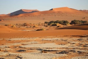 3 Day Sossusvlei | Private Guided Camping