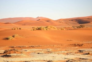 3 Day Sossusvlei | Private Guided Camping