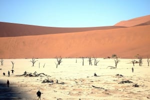3 Day Sossusvlei | Private Guided Camping