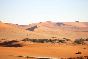 3 Day Sossusvlei | Private Guided Camping