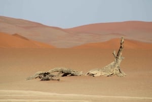 3 Day Sossusvlei | Private Guided Camping
