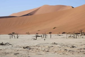 3 Day Sossusvlei | Private Guided Camping