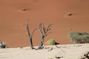 3 Day Sossusvlei | Private Guided Camping