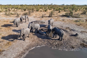 Windhoek: 5-Day Private Etosha Safari with Accommodation
