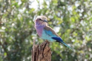 Windhoek Area: Hiking at Daan Viljoen Park