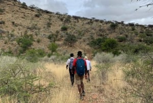 Windhoek Area: Hiking at Daan Viljoen Park
