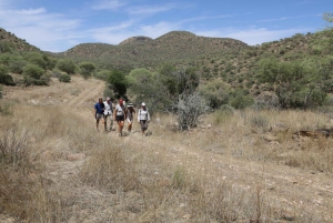 Windhoek: Dustenbrook Scenic Game Drive