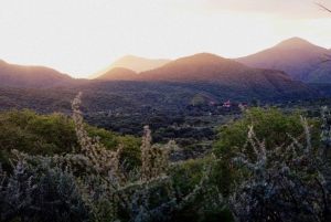 Windhoek: Dustenbrook Scenic Game Drive