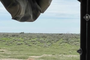 Windhoek: Etosha National Park 3-Day Safari Tour