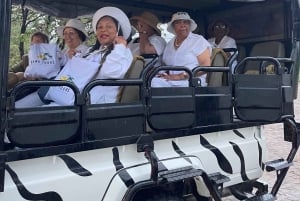 Windhoek: Etosha National Park 3-Day Safari Tour