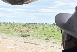 Windhoek: Etosha National Park 3-Day Safari Tour