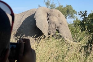 Windhoek: Etosha National Park Wildlife Watching 3-Day Trip