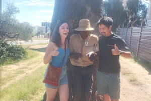 Windhoek: Katutura Township and City Walking Tour