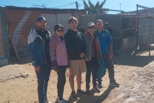 Windhoek: Katutura Township and City Walking Tour