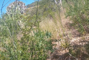 Windhoek: Mountain Hike with Hotel Pickup and Lunch