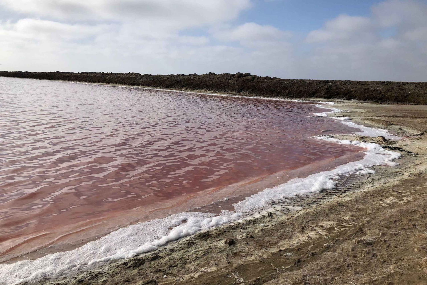 Windhoek: Namibia 12-Day Self-Drive Tour with Lodging