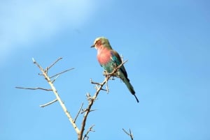 Windhoek: Namibia 12-Day Self-Drive Tour with Lodging