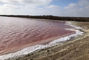 Windhoek: Namibia 12-Day Self-Drive Tour with Lodging