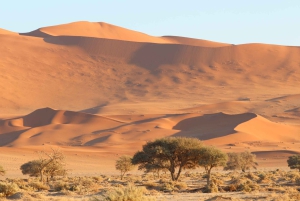 Windhoek: Namibia 12-Day Self-Drive Tour with Lodging
