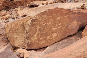 Windhoek: Namibia 12-Day Self-Drive Tour with Lodging