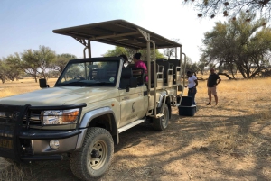 Windhoek: Okapuka Game Ranch Guided Tour
