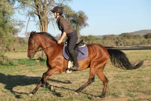 Windhoek: Sundowner Safari Horse Ride