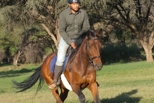 Windhoek: Sundowner Safari Horse Ride