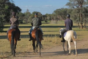Windhoek: Sundowner Safari Horse Ride