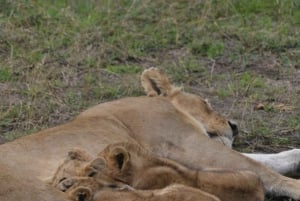 Windhoek To Etosha National Park: 3 Day Safari