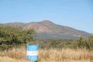 Windhoek Wilderness Safari: A Game Drive Experience