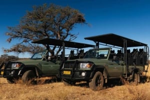 Zannier Game Drive with Hotel Pickup