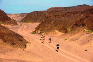 4Deserts